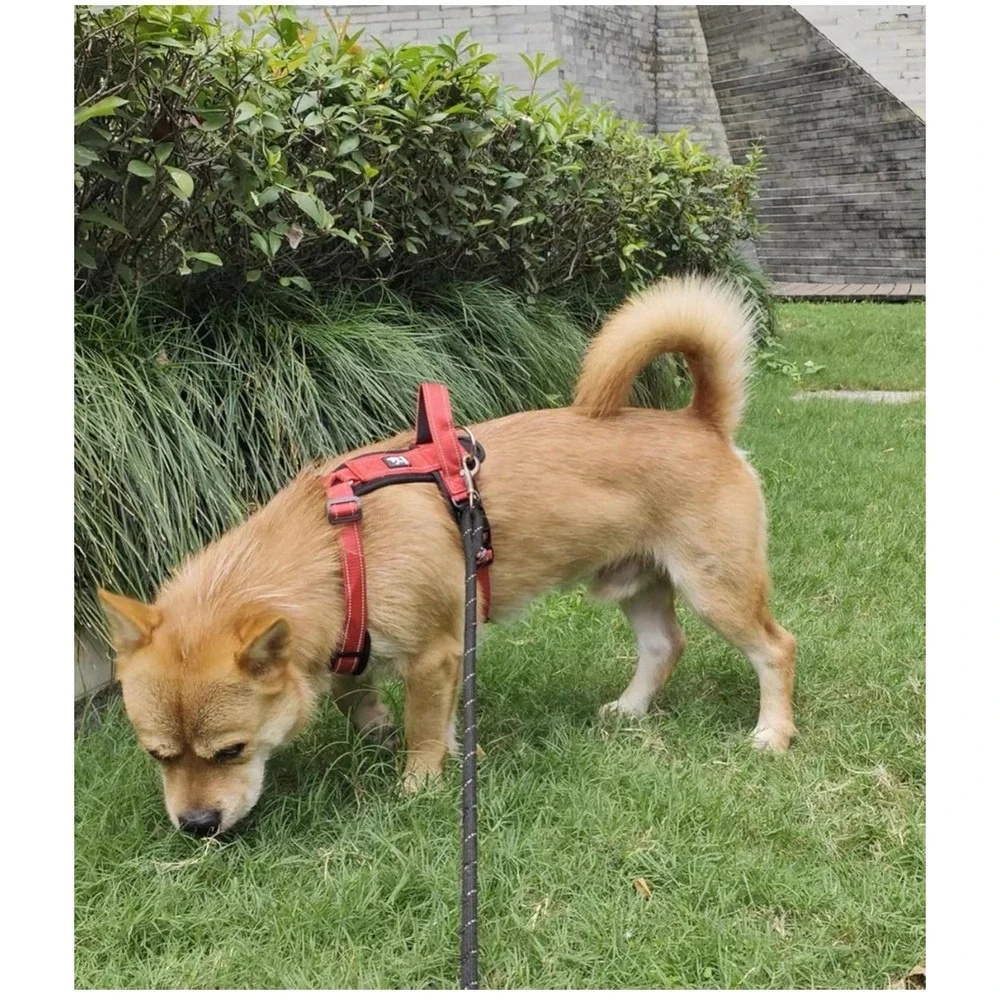 No Pull Small Dog‎ Harness Puppy Soft Vest Harness Neck & Chest Adjustable S T1